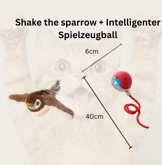 Interaktives Katzenspielzeug – Der flatternde Vogel mit echtem Zwitschern